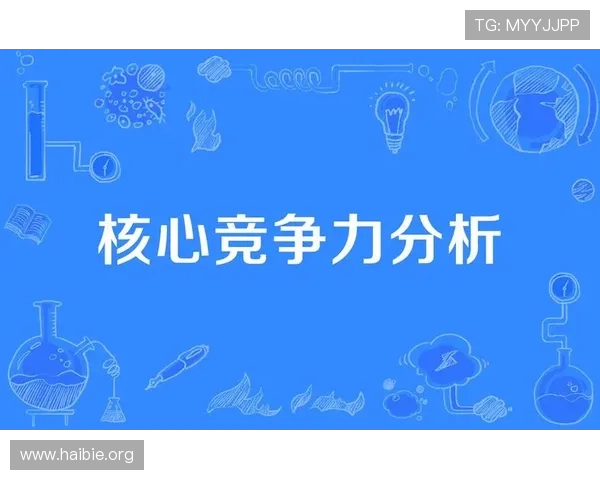 太阳娱乐有限公司怎么样在市场中的竞争优势和核心竞争力分析